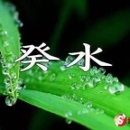 2025年辛巳月癸水日主运势指南5月5日—6月4日