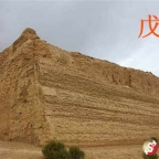 2025年辛巳月戊土日主运势指南5月5日—6月4日