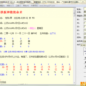 徐氏铁板神数批命术软件
