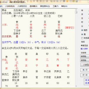 南方批八字软件