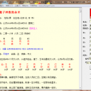 徐氏蠢子神数批命算命软件