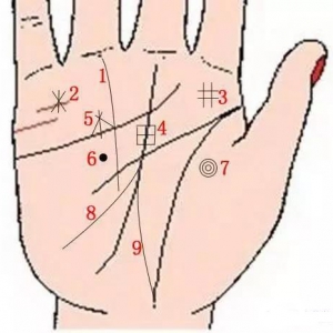 图解手相上的9大财富纹