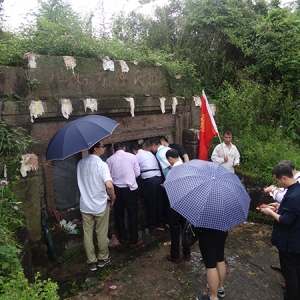 什么是种生基？