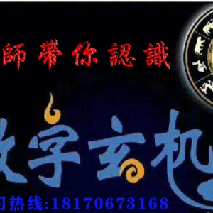 生气加延年组合能量分析