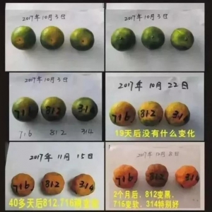 教你通过手机号码磁场教你识人断人