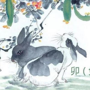 生肖兔的2020（庚子）年流年运势详解