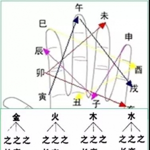 地支生克合化类型寓义