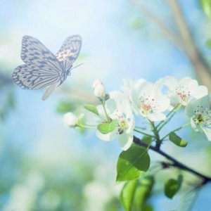 2021年6月十二生肖运势详解