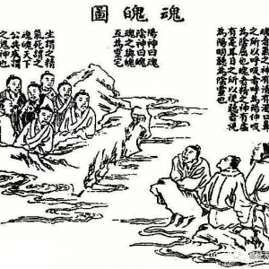 三魂七魄：晚上魂休息了，魄工作！