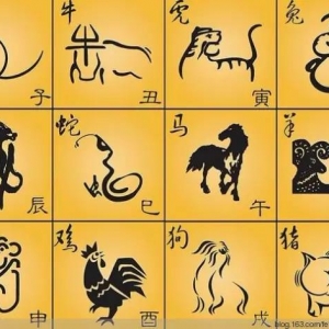 十二生肖的风水文昌位在哪里？