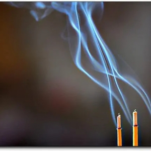 祖坟不好子孙也会有钱？祖坟的好坏如何判断？