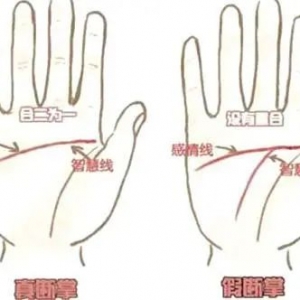 手相五大主要纹路完整介绍