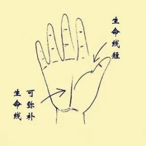 生命线短代表什么？有什么说法？能补救吗？