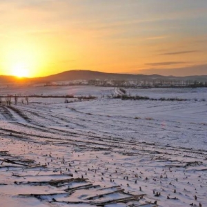 老人说：2022年壬寅同天符，木过必生风，2022年年景咋样？