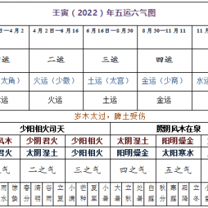 2022壬寅年五运六气