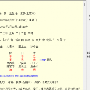 正宗批八字算命软件电脑版
