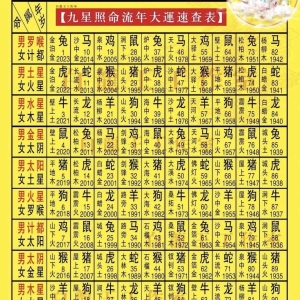2023年九星照命对照表及九星照命化解法