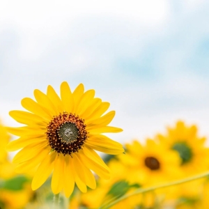 八字算命反推法：不知自己出生的具体时辰？