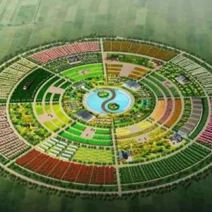 八字中纳音的具体应用详解