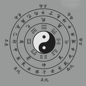 2024甲辰年(2024.2.4—2025.2.2)癸水人运势