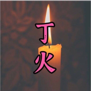 2024年己巳月运之丁火日主运势指南5月5日—6月4日