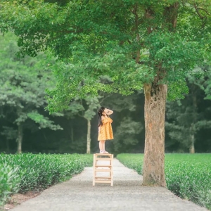 2024年庚午月运之乙木日主运势指南6月5日—7月5日