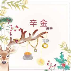 2024年庚午月运之辛金日主运势指南6月5日—7月5日