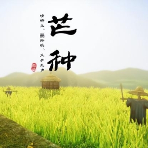 2024年芒种节气庚午月需要的注意事项