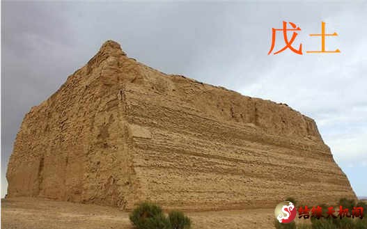 2025年辛巳月戊土日主运势指南5月5日—6月4日