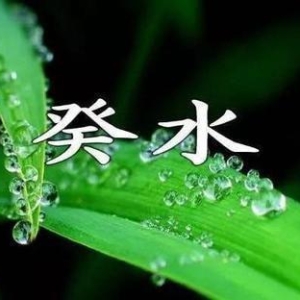 2025年辛巳月癸水日主运势指南5月5日—6月4日